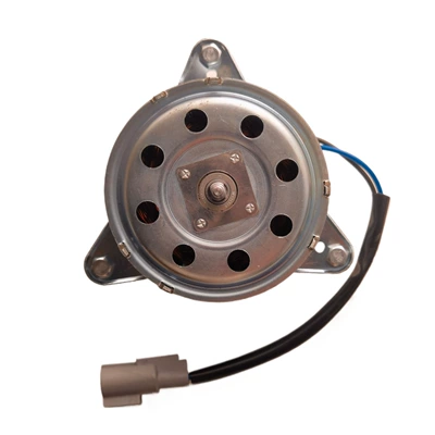 Fan fan motor