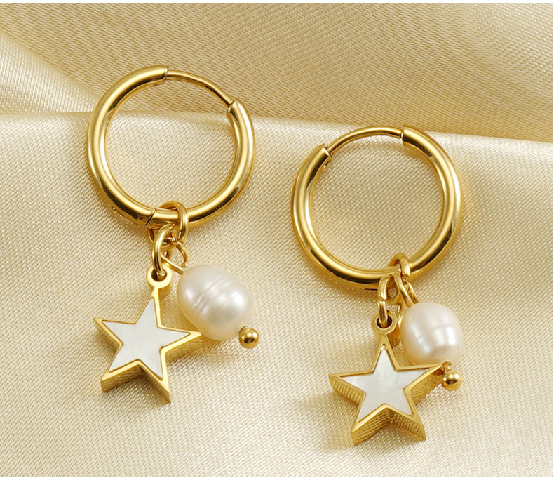 Fashion Star Stainless Steel Inlay Pearl Shell Drop Earrings 1 Pair display picture 1