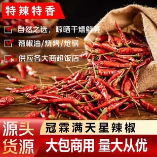 �F�������M���������aӡ��ħ�����l���x������������������콷