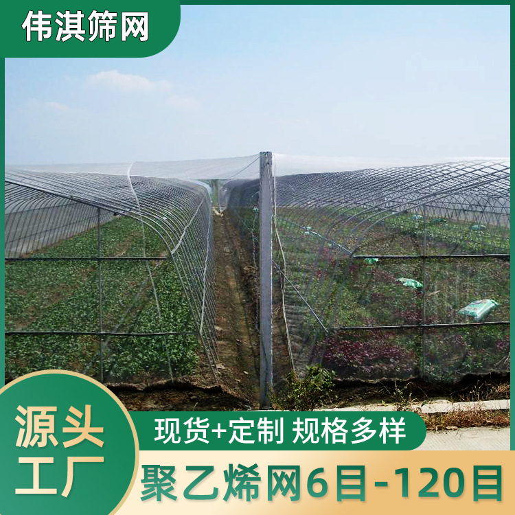 厂家供应防虫网 尼龙防虫网 绿色蔬菜大棚用6-120目防虫网
