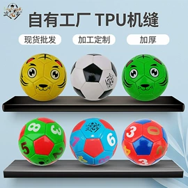 足球;篮球;排球