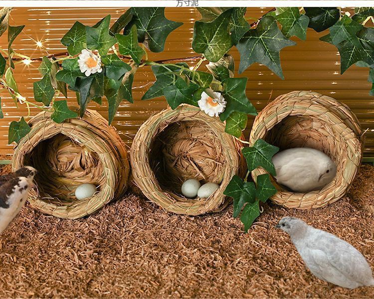 68190184-40de-469e-ac87-20ef0888e478.jpe