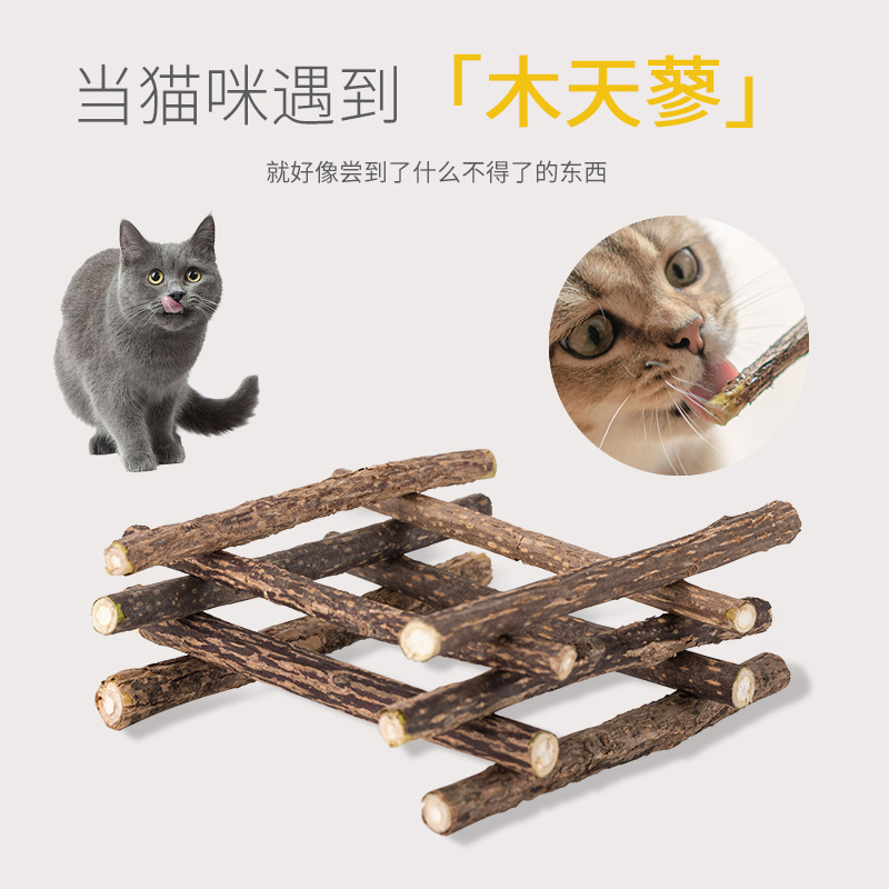 猫の歯磨きの棒猫のミントの木の天のタデの歯をかじって猫の棒をからかいます。|undefined