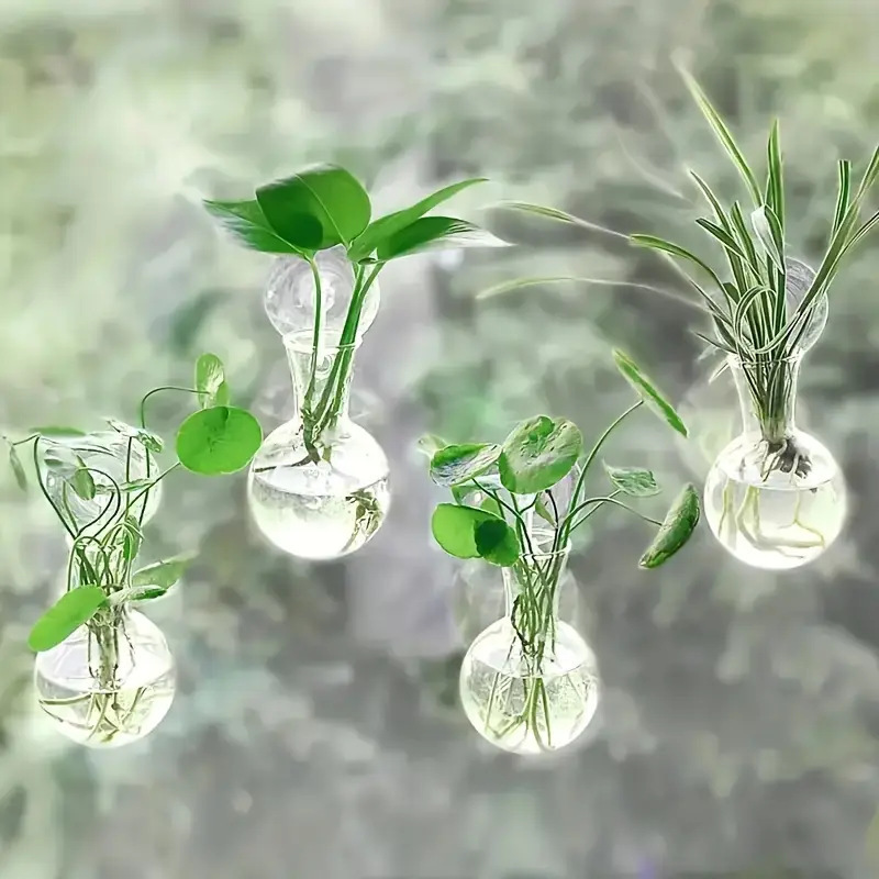 国境を越えた水培緑羅植物瓶プラスチック吊り下げ家庭園芸装飾アクリル壁掛け透明花瓶|undefined