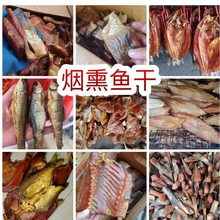 �S�����l�����خa�r�ҟ�Ѭ�|���~���~�|���~�ɟ�Ѭ�~�ɸ��~���l