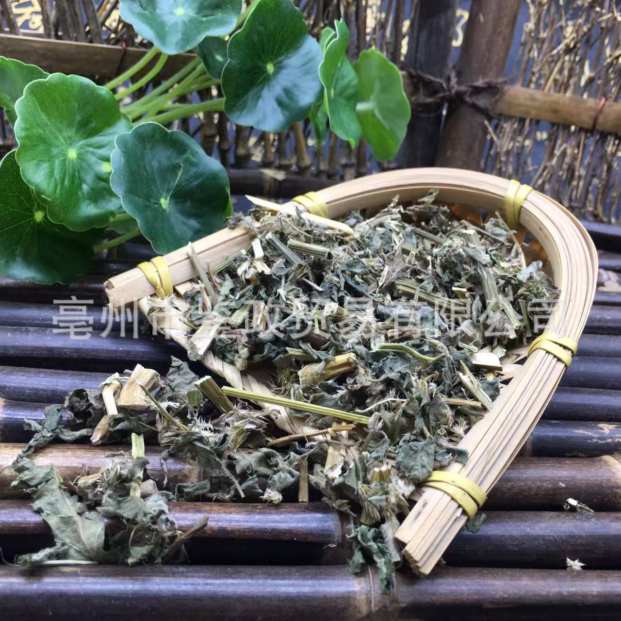 Dao Kou Cao 倒扣草 Dried Achyranthes Herb 500g Loose Bulk Traditional TCM Herbal Ingredient quality and texture