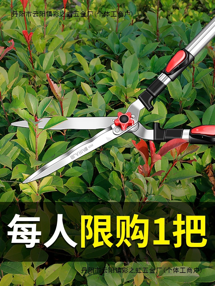德国园艺大剪刀果树枝花园草坪修枝剪日本园林绿化工具绿篱剪