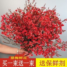 ���l�^�����ˮ�B���D÷���������r������ֱ�lֲ���҃�������r��