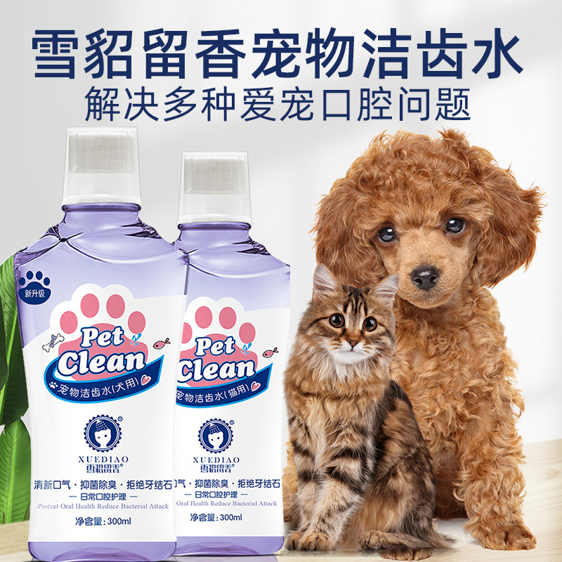雪貂留香宠物漱口水 狗狗猫咪口腔清洁用品 除口臭牙垢宠物洁齿水