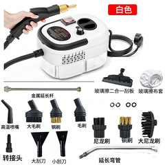 Steam cleaner高温高圧蒸気洗浄機キッチン油汚れ家庭用消毒卸売り蒸気機