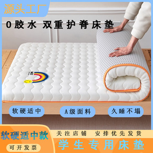 Bubble Cotton Type a Soy Fiber Mattress Student Dormitory Single Thin Mattress Tatami Anti-Slip Protective Pad
