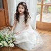 Spring dress, small princess costume, skirt, suitable for teen, long sleeve, autumn, tutu skirt