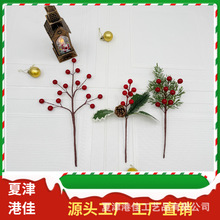 �羳�}�Q��֦�b�ѩ������������t���{���Ҿ���֦�������S���l