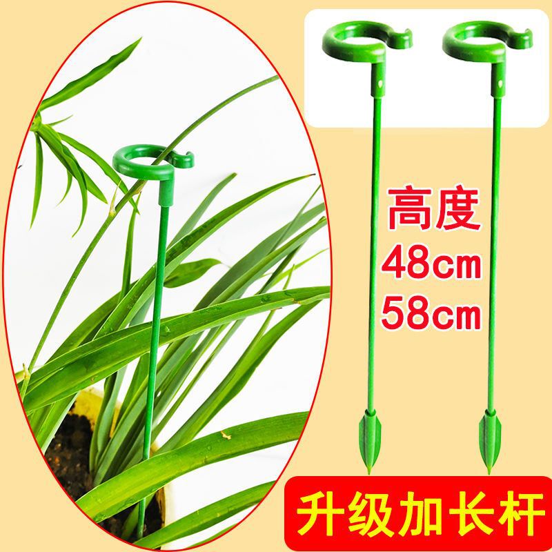 多肉植物胡蝶蘭の花花植物転倒防止趙志孫バラスタンドスタンドオーキッドスタンドサポートロッド|undefined