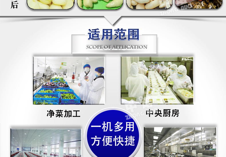 毛辊去皮机 (12).jpg