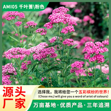 �S��ֱ�Nǧ�~��ݷN�ӻ��њW����䏲����޸��ͺ����л��̨����