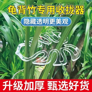 Bamboo support rod garden flower lodging spring rain holder holder green plant hydroponic branch flower pot stand