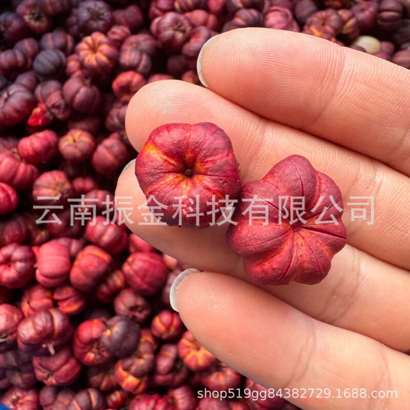 DIY Christmas Mini Pumpkin Red Orange Dried Flower Material Refrigerator Magnet Handmade Raw Material Aromatherapy Candle
