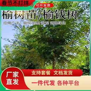 һ�����l�ܘ����ܘ�С����ܼ������X��e��ͥԺ��·�G����������