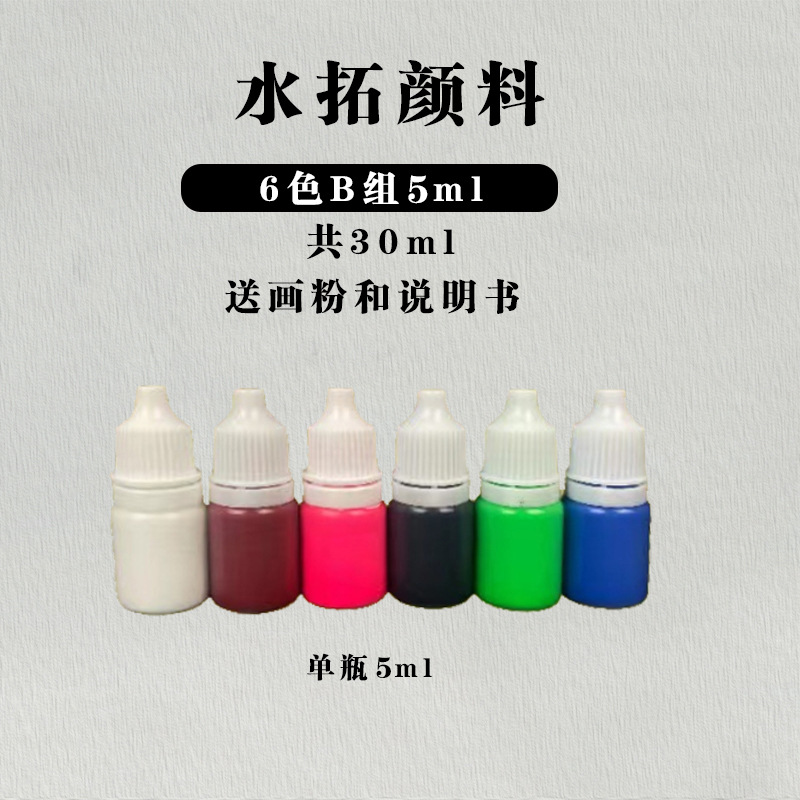 Shuituo 안료 6 색 그룹 B 6ml (그림 분말 + 지침 보내기)