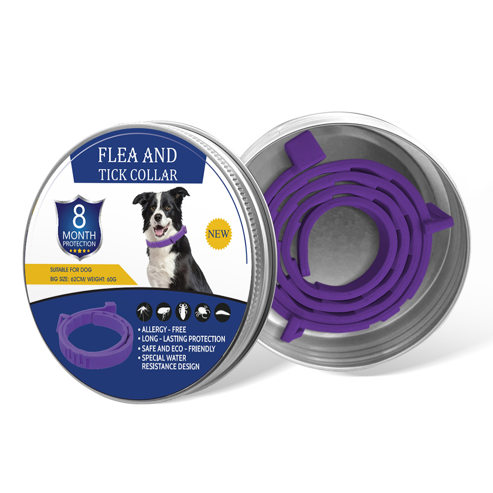 보라색 강아지 디자인 선물 세트