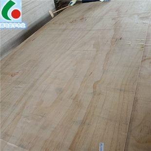 ���b����ľ����ӗ�ľ���b���z�ϰ�8����b��ľ�бP��