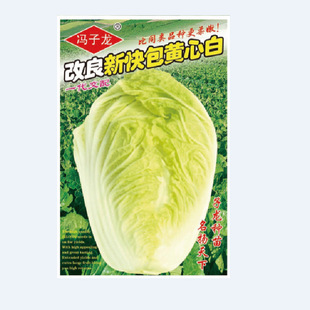 ��ꖹ������߲˷N�Ӹ����¿���S�İ״�ײ˷N�ӻ�����@¶��