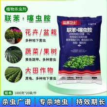 ���� 1%�����x�� �����º��x���{ �S�l���ך��x��1000g�b