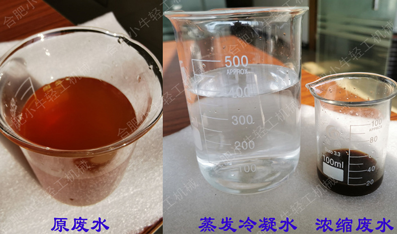 水樣5.jpg