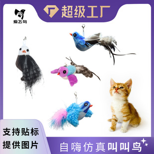 ���w�B����н��B�lë�q��߿ɒ��T؈��늄�������˽␞؈���