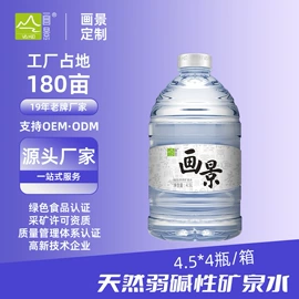 纯净、矿泉水;苏打水/气泡水;其他软饮料