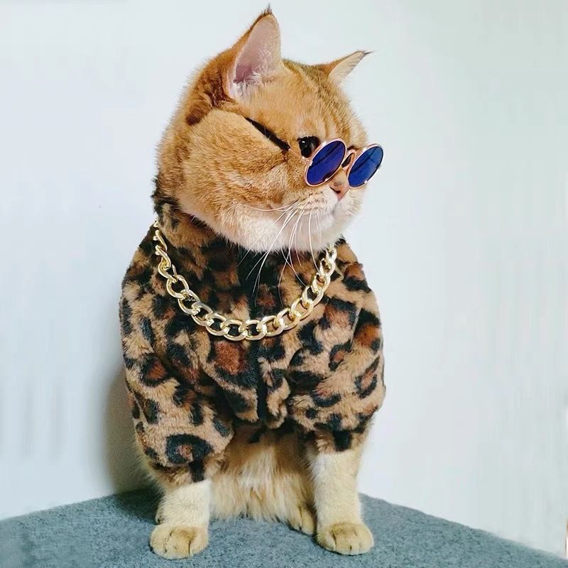 강아지 옷, 애완동물 새끼 고양이 옷, 가을 겨울 테디 비숑 찻잔 강아지 옷, 귀여운 소형 강아지 옷