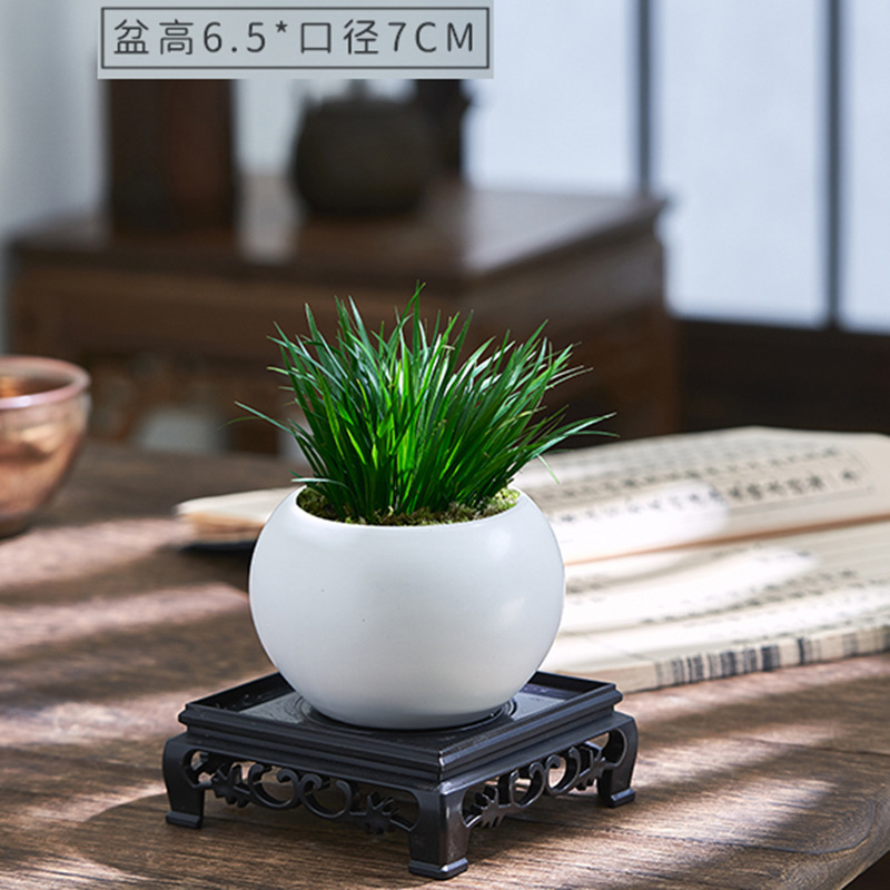 Dinero Acorus acorus bonsai pequeña maceta de oficina decoración de mesa de té modelado Zen迷 interior micro paisaje flor verde