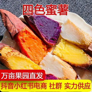 四色蜜薯榴莲烟薯紫薯哈密红薯新鲜地瓜沙地烤薯拼装红薯一件代发