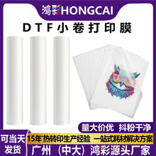 鸿彩DTF白墨烫画打印膜小卷30/60cm秒撕服装logo热转印膜厂家批发