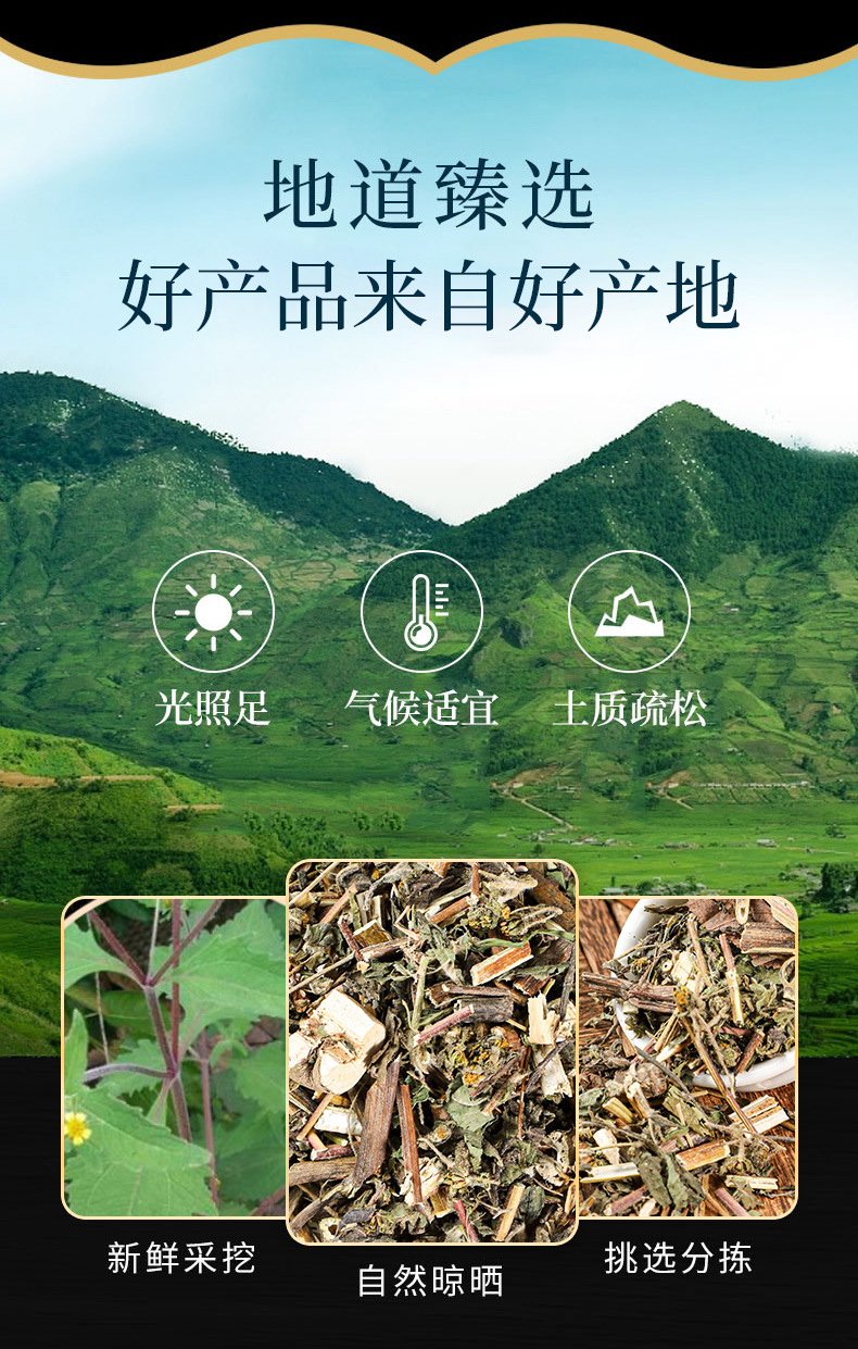 Xi Xian Cao Powder (Sigesbeckia orientalis) — Dried Food Herb, 500g overview