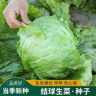 �Y�����˷N�������̨��ͥ���Բˈ@��������ɳ���~��A���̨�Nֲ