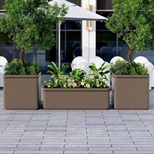 �Fˇ���ƻ��䲻�P䓏V��ͥԺ����������\�廨����[��������