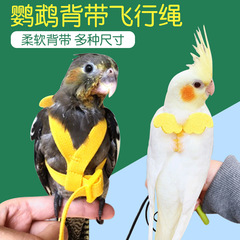 Parrot flying harness rope ultra-light flying traction rope Peony Xuanfeng Little Sun walking bird flying rope