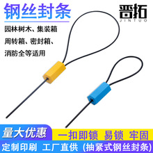 钢丝封条铅封 集装箱货柜施封锁 石化水泥车抽紧式防盗扣园艺扎带