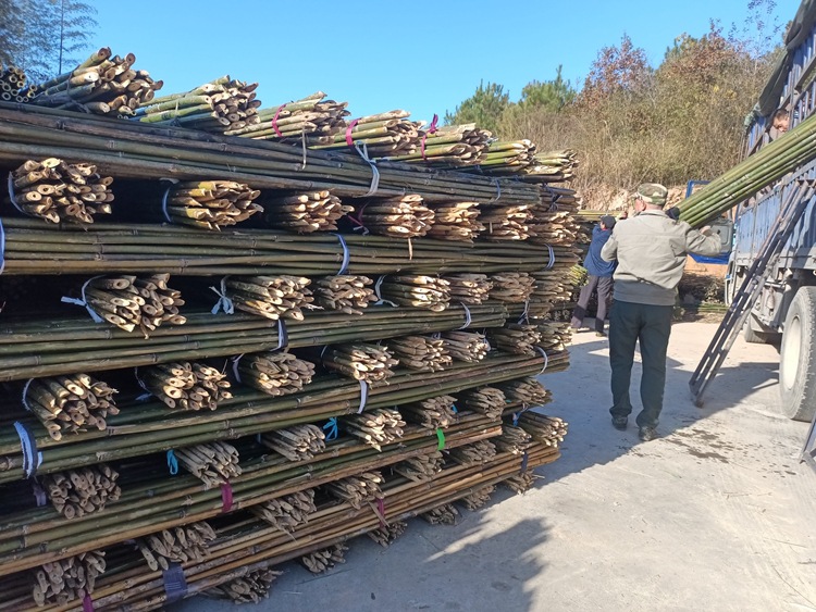 微信图片_20220804172821