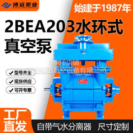 2BE203水环式真空泵化工造纸专用耐腐低噪负压真空泵厂家博远泵业