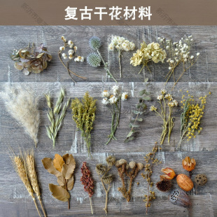 ���͹��L�ɻ����ϡ���֦��ֲ��˱����diy��ˇ��������W������
