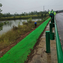 б�¹����Nֲ���ѱ��o�Wɽ��߅�·��o�������Sֲ���W�ӵ��@�־G��