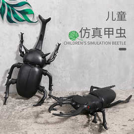 仿真玩具甲虫昆虫动物模型儿童早教认知发声捏捏乐整蛊吓人礼品