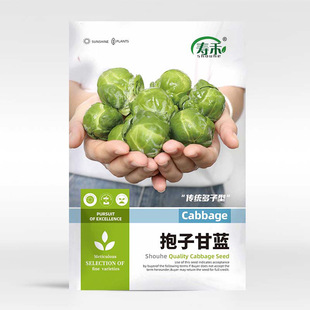 ���Ӹ��{���Ӹ��{�N�����߲˷N�����ӳ�С���˾��Ĳ˰��Ĳ��ݲ˷N