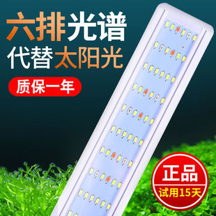 Fish Tank Lamp Small Colorful Color-Changing Color-Enhancing and Brightening Energy-Saving Algae Fish Lamp Independent Station Cross-Border Wholesale