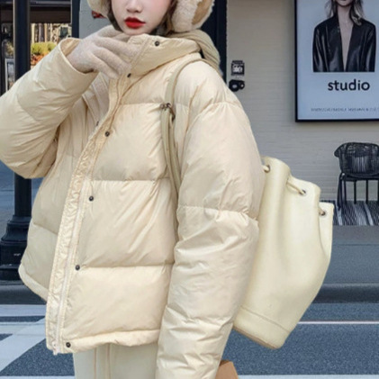 Clearance Sale Women's High-Quality down Jacket, New Winter Short Puffer Coat, Women's Clothing, Winter Wear, Pinghu Clearance Sale Women's High-Quality down Jacket, New Winter Short Puffer Coat, Women's Clothing, Winter Wear, Pinghu