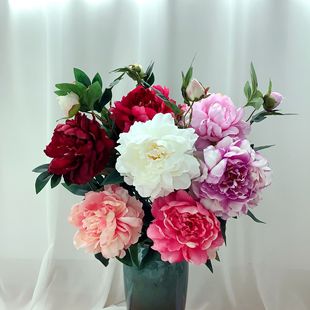 ����ʽĵ�������滨�Ҿӿ͏d�[����Y�b��������յ������l
