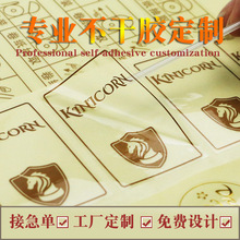�C��͸���N���� ��С���� PET͸������N͸�������z�˺����� ��